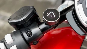 Puck mal, wie niedlich