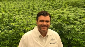 Der Mann mit dem Gras