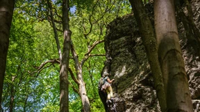 Waldumbau nach neuen Regeln