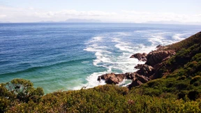 Leberkäs in the House