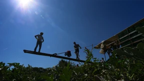 Sollten Landwirte entschädigt werden?