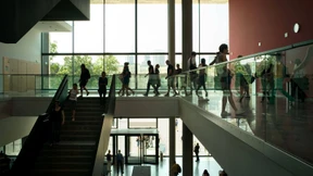 Akademisierungswahn?