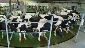 Neue Ökostromrabatte für Verkehrsbetriebe und Molkereien