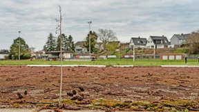 Wieder Bangen um Eckpfeiler der Landesgartenschau Oberhessen