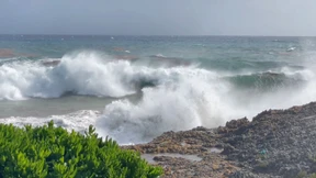 Zwei Deutsche auf den Bahamas angeschossen