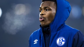 Die riskante Schalker Millionen-Wette