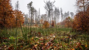 Hilfe für einen Todkranken