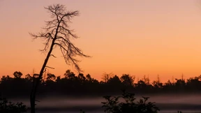 So heiß wird es in Deutschland