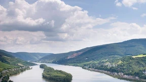 Kreuzfahrtschiff fährt sich auf dem Rhein fest