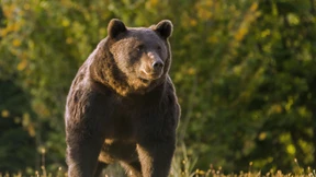 Erholung der Märkte nur kurzlebig