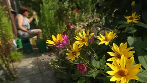 Berlin stößt an die Landlustgrenze 