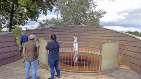 Warum Mineralbrunnen das Wasser nicht ausgeht