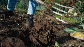 Deutsche geben wieder mehr für den Garten aus