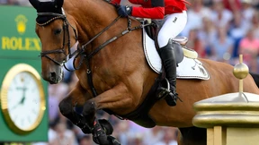 Freud und Leid zu Pferde