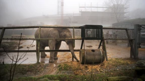 Warten auf den großen Umzug