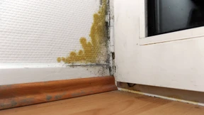 BGH hält an seiner käuferfreundlichen Linie fest