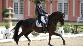 Nur geimpfte Pferde?