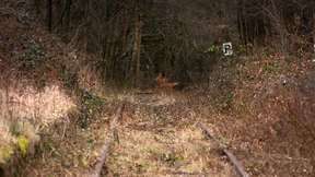 Die Schiene als Chance