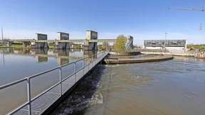 Neue Umleitung für Wanderfische