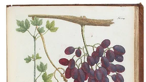 Jetzt ist Zeit für die Lese