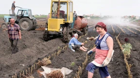 Der unerbittliche Takt des Elends