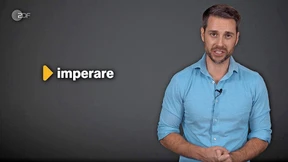 Was weiß MrWissen2go über Fake News?