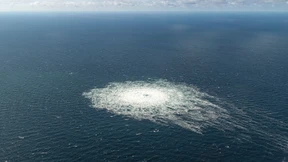 Machtkampf am Meeresboden