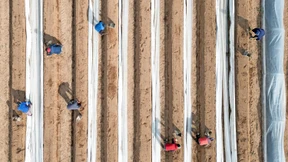 Wenn „die Polin“ lieber in Polen arbeitet