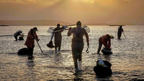 Das Bekenntnis des wahren Glaubens