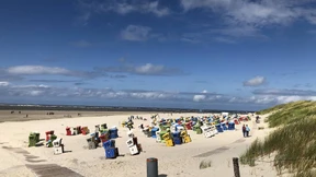 Mit dem Ranger am Wattenmeer