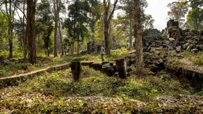 Ganze Städte unter dem Wald