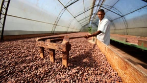 Fair-Trade-Siegel können schaden