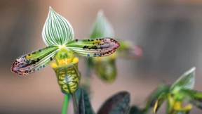 Es wurde bereits viel getan, aber es muss noch mehr getan werden