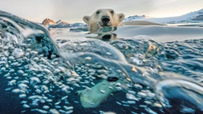 Ein Ozeanbuch und eine Fahrradinsel