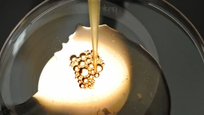 Großbritannien erlaubt Gen-Experimente mit menschlichen Embryonen