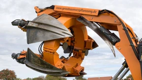 Einen alten Baum verpflanzt man doch