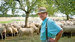 „In fünf Jahren ist es vorbei mit der Weideschaf-Haltung“