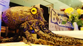 Niemand hat die Absicht, eine Überwachung zu hinterfragen