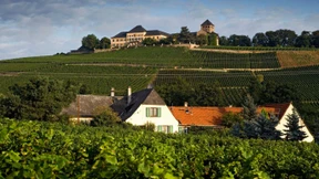 Der Run auf die Weinberge