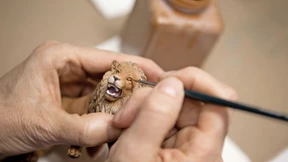 Heuschrecke attackiert Schleichtiere