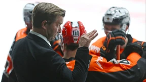 Das Luxusproblem der Löwen