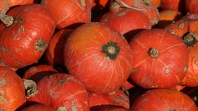 Kürbis genießen ohne Mühe beim Schneiden und Schälen