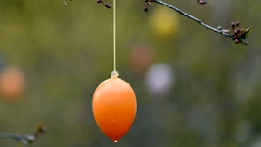 Nass, kalt, windig und vereinzelt Schneeglätte