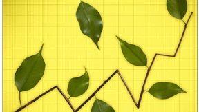 ETF kaufen, aber richtig!