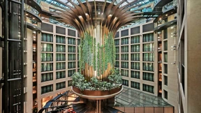 Grün ist die Hoffnung