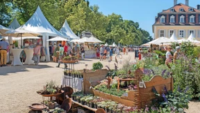 Pflanzen und Kunsthandwerk im Staatsbad