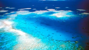 Wie viel kostet das größte Riff der Erde?