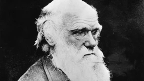 Darwin im Datencenter