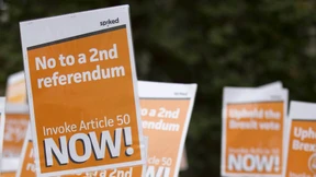 Deutsche Wirtschaft will den schnellen Brexit