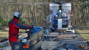 Doch der Sägen kommt von oben